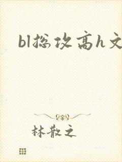 bl总攻高h文封面