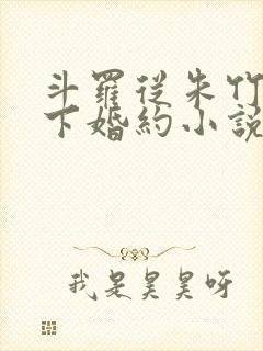 斗罗从朱竹清订下婚约小说