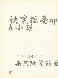 快穿总受np高h小说