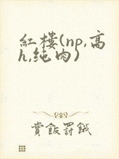 红楼(np,高h,纯肉)