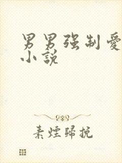 男男强制爱高h小说