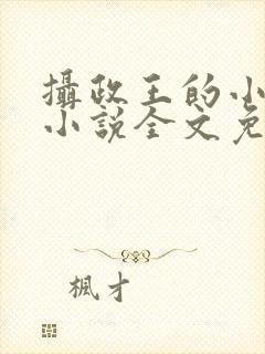 摄政王的小狼妃小说全文免费阅读