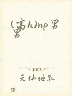 (高h)np男男封面