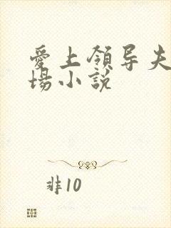 爱上领导夫人官场小说