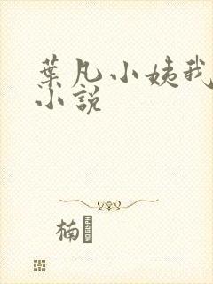 叶凡小姨我要 小说