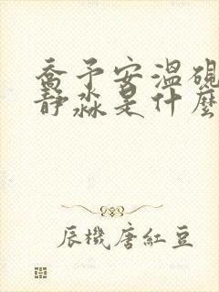 乔予安温砚深沈静淼是什么小说