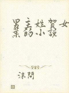 男主姓贺女主姓叶的小说