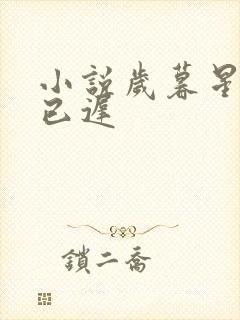 小说岁暮星沉爱已迟