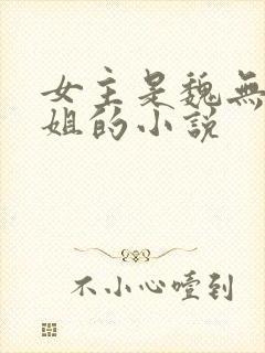 女主是魏无羡姐姐的小说封面