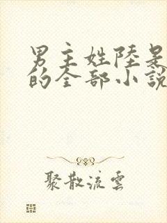 男主姓陆是总裁的全部小说