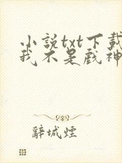 小说txt下载我不是戏神封面