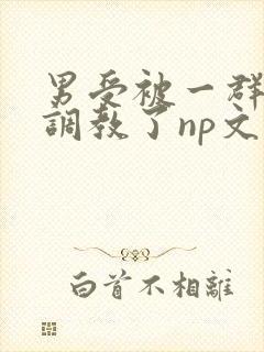 男受被一群男人调教了np文