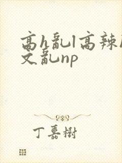 高h乱l高辣h文乱np封面