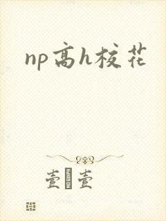 np高h校花