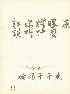 许你耀眼原著小说叫什么