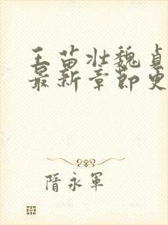 王苗壮魏贞小说最新章节更新时间