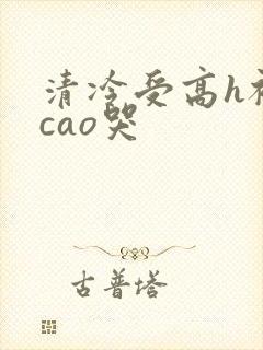 清冷受高h被强cao哭封面