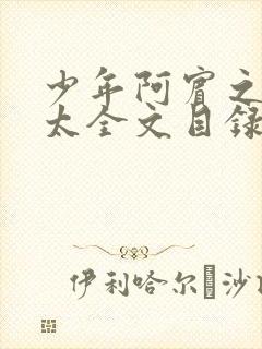 少年阿宾之房东太全文目录