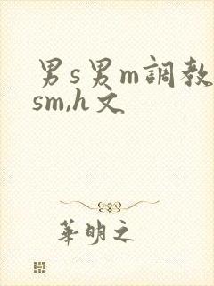男s男m调教(sm,h文封面