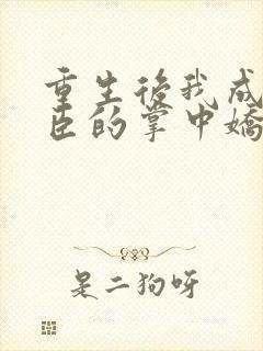 重生后我成了权臣的掌中娇完整版封面