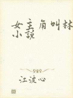 女主角叫林茉的小说