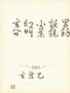 玄幻小说男主人公叫叶观的小说