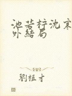 池若柠沈寒声番外结局封面
