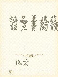 极品弟媳苏婉小说免费阅读全文最新封面