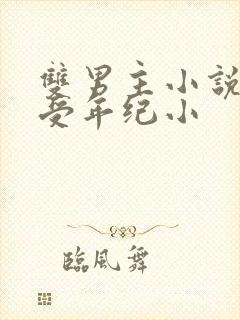 双男主小说主角受年纪小封面