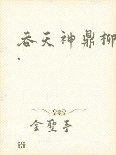 吞天神鼎柳无邪.