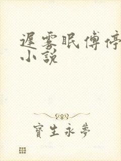 迟雾眠傅停舟的小说