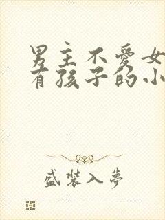 男主不爱女主却有孩子的小说