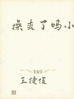 操爽了吗小说封面
