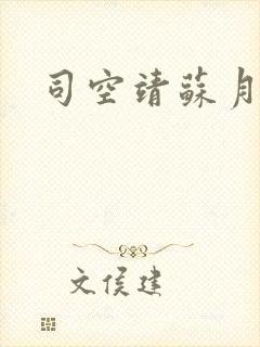 司空靖苏月汐