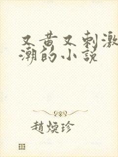 又黄又刺激又高潮的小说