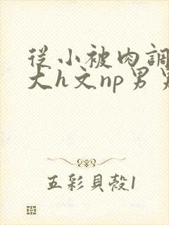 从小被肉调教到大h文np男男封面