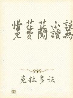 惜花芷小说全文免费阅读无弹窗