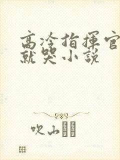 高冷指挥官一亲就哭小说