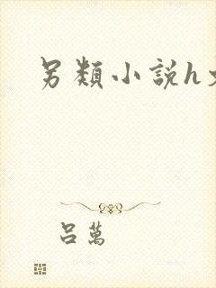 另类小说h文封面