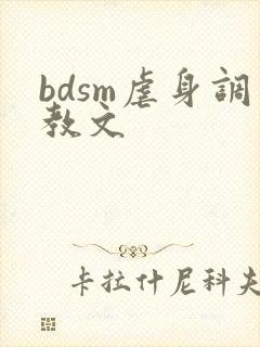 bdsm虐身调教文封面