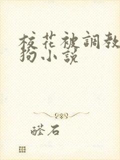 校花被调教成母狗小说