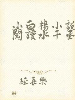 小白杨小说免费阅读水千丞无删减