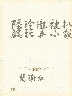 陆玲珑被扒开双腿玩弄小说免费阅读封面