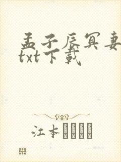 孟子辰冥妻挚爱txt下载