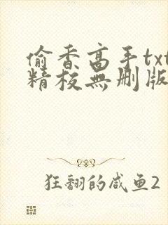 偷香高手txt精校无删版