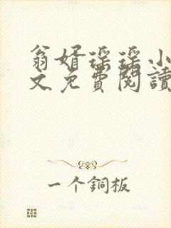 翁婿瑶瑶小说全文免费阅读最新章节封面