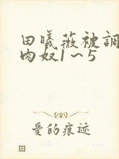 田曦薇被调教成肉奴1～5