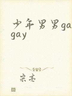 少年男男gaygay