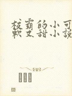 校霸的小可怜又软又甜小说封面