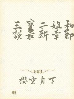 三宝二姐和娘小说最新章节更新内容